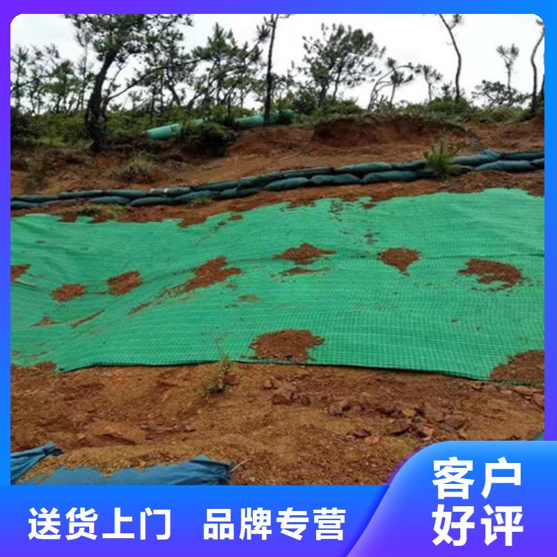 椰丝毯生态袋精挑细选好货