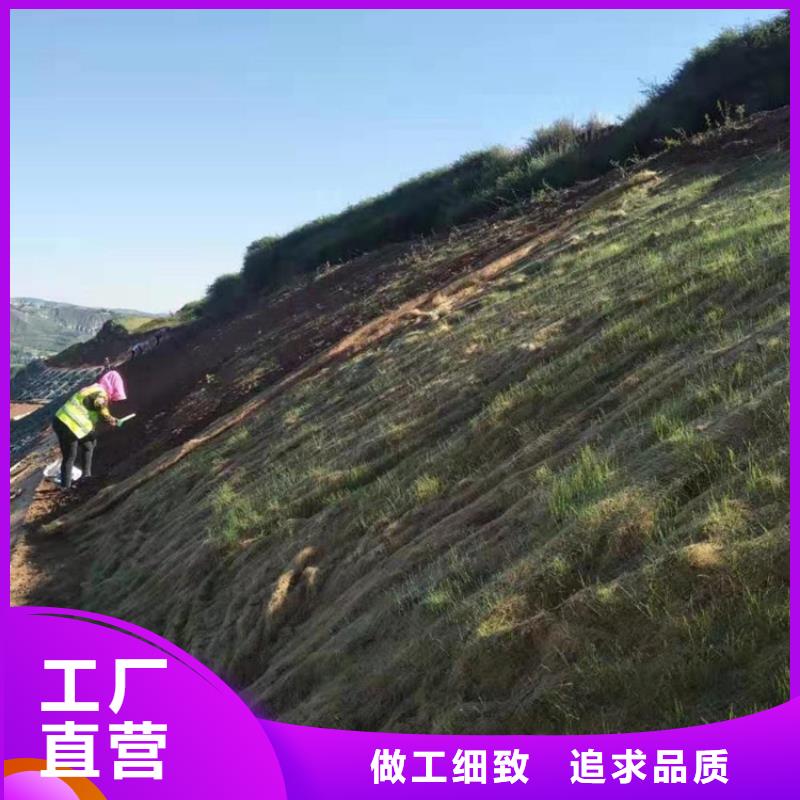 椰丝毯生态袋精挑细选好货