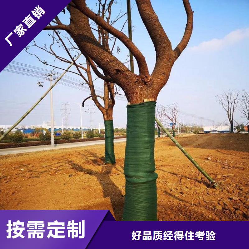 裹树布【保湿布】品质商家