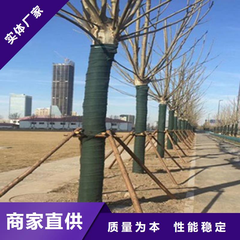 裹树布【保湿布】品质商家