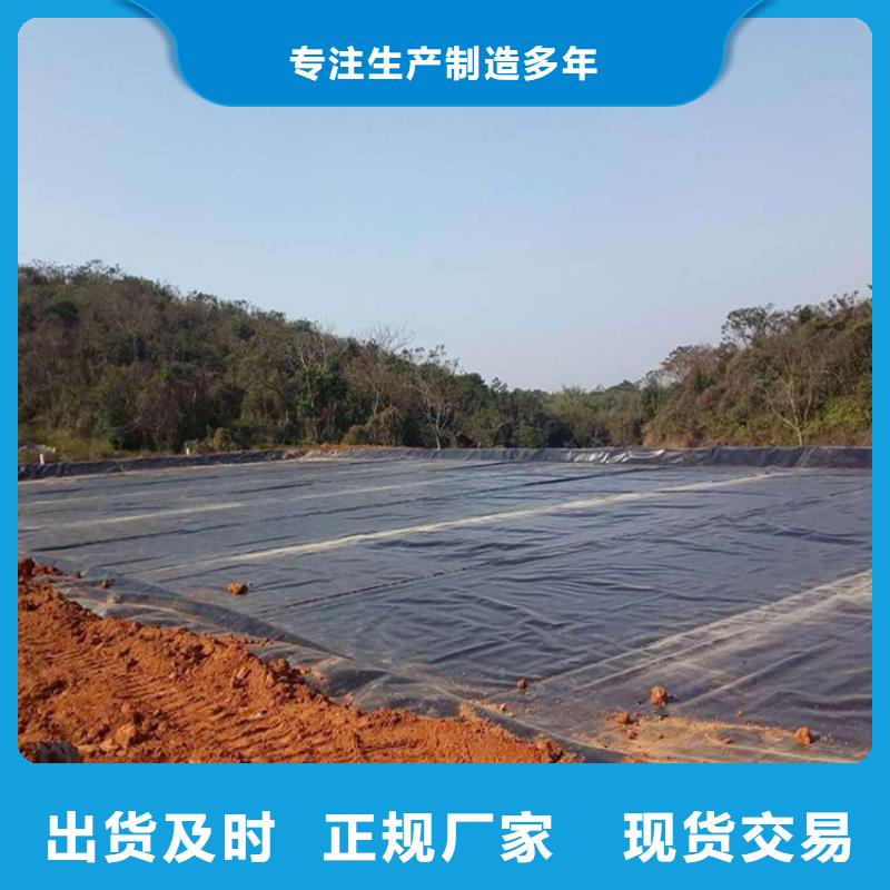 土工膜通风降噪丝网产地厂家直销