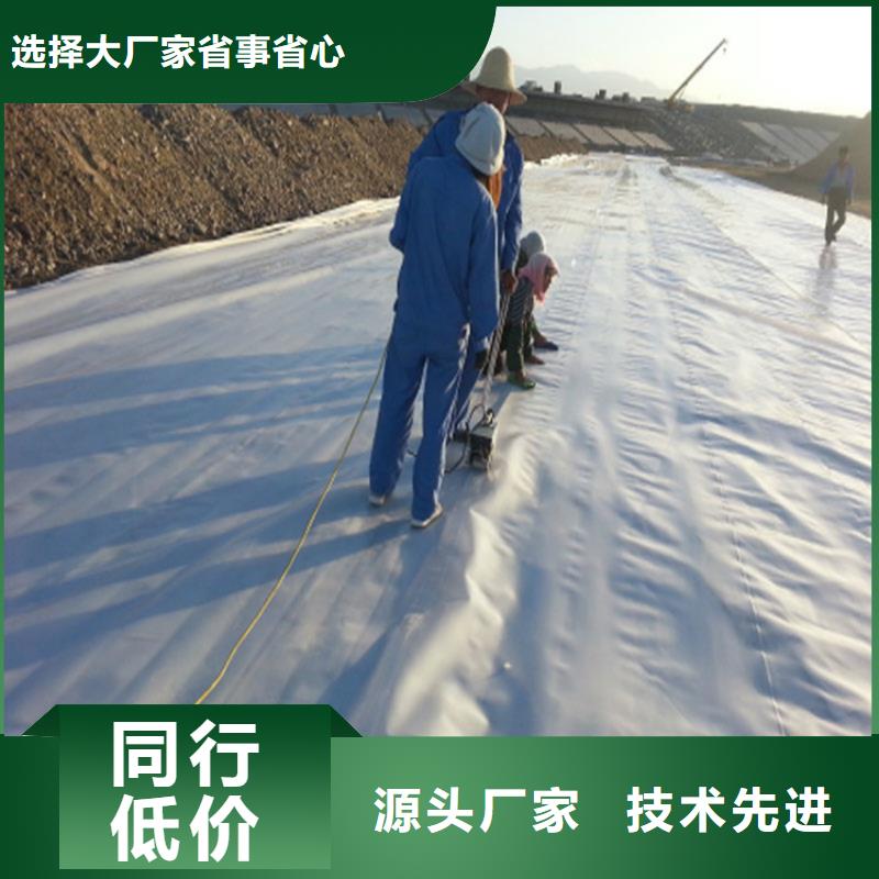 土工膜-排水板厂家实力大