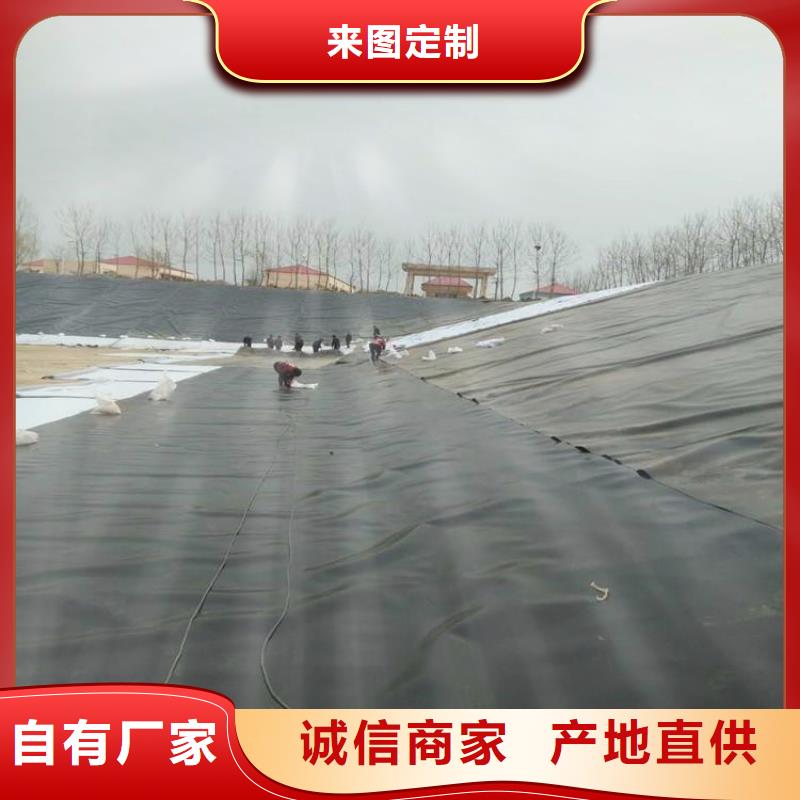 土工膜通风降噪丝网产地厂家直销