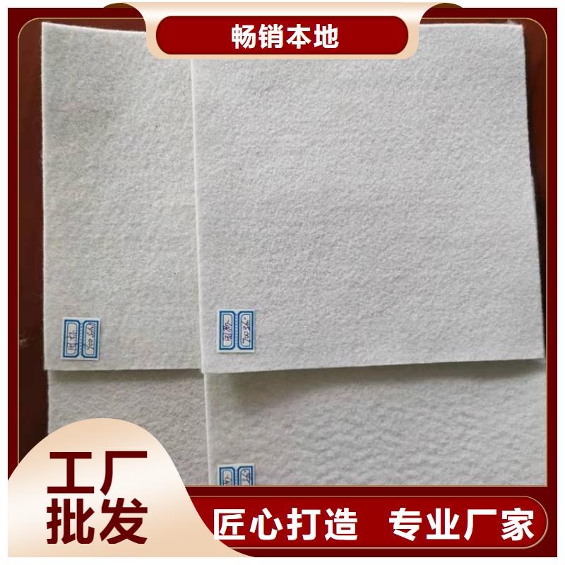 聚酯布中齐【 土工布 防渗膜工厂直营】