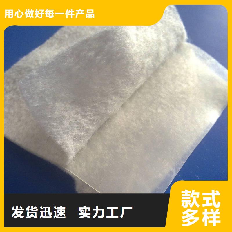 聚酯布中齐【 土工布 防渗膜工厂直营】