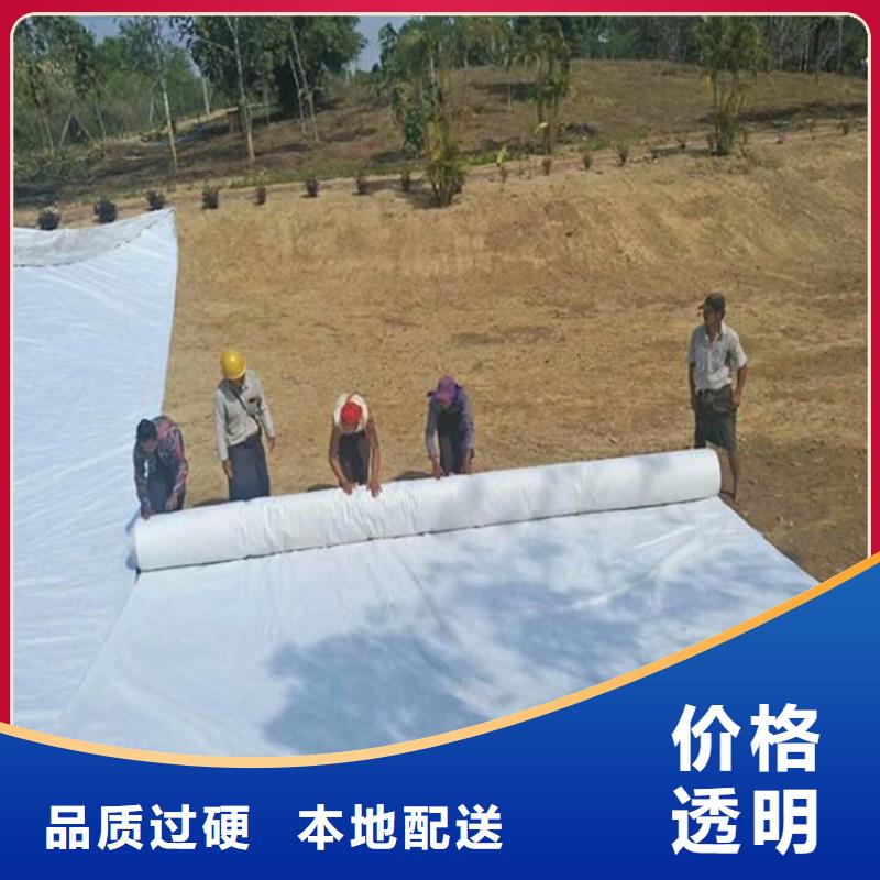 土工布塑料土工格栅专业按需定制