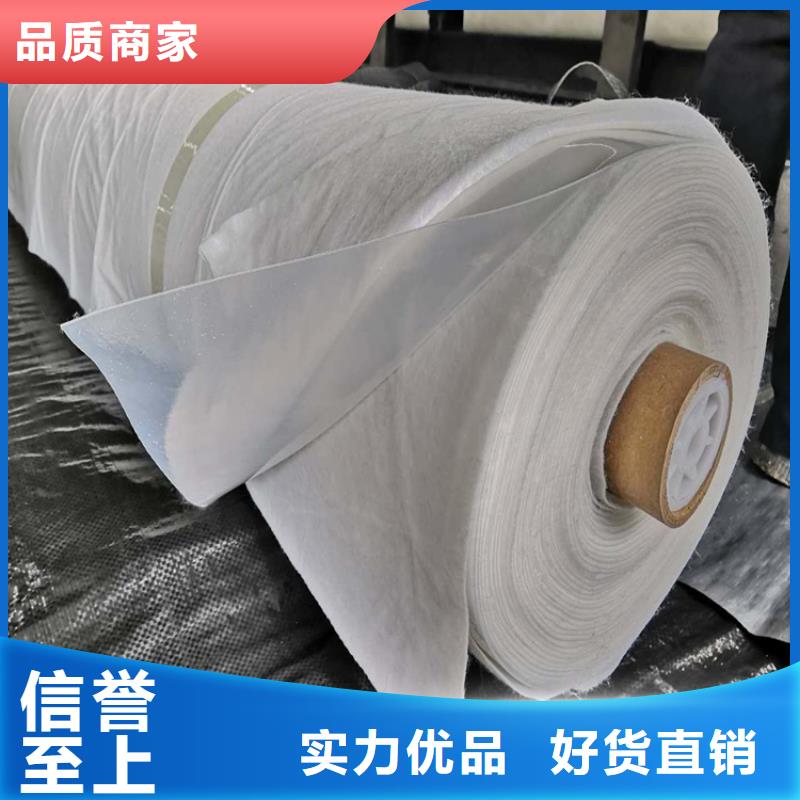 土工布塑料土工格栅专业按需定制