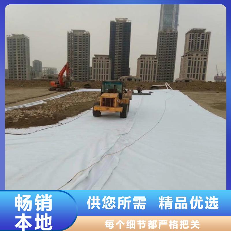 土工布塑料土工格栅专业按需定制