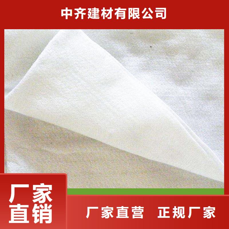 土工布塑料土工格栅专业按需定制