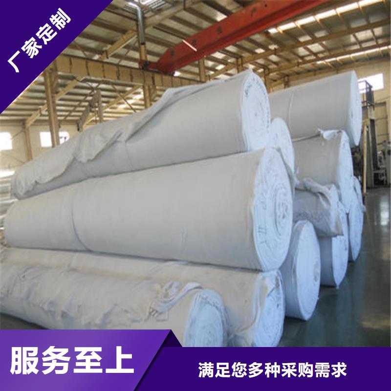 土工布塑料土工格栅专业按需定制