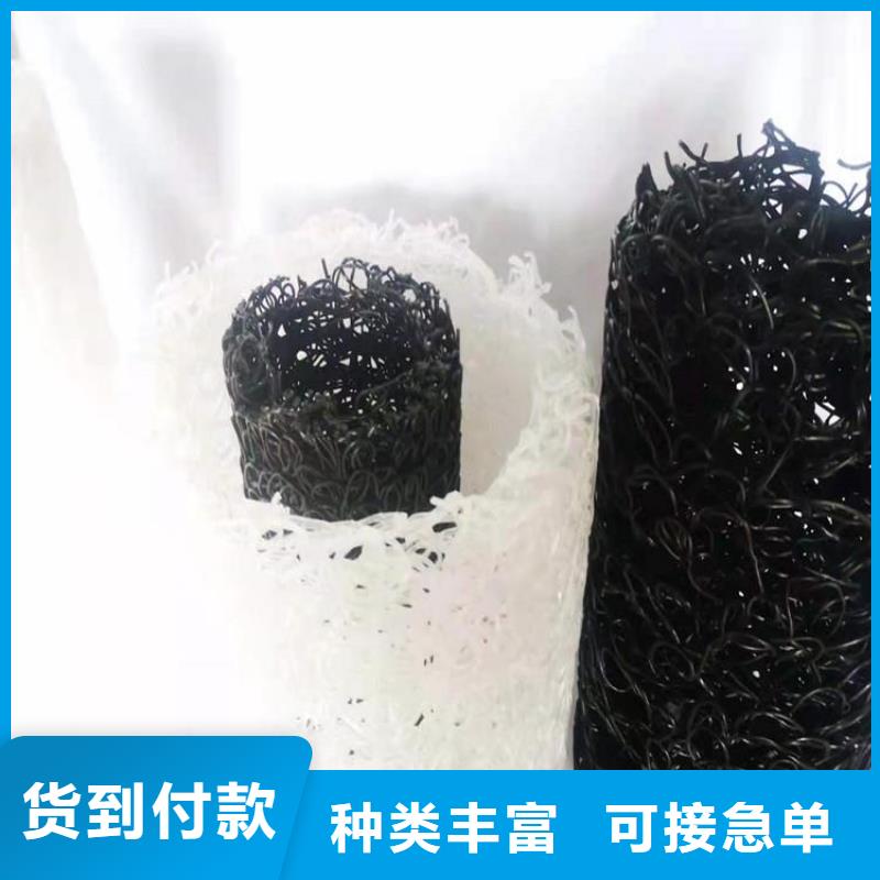 塑料盲沟-土工网垫厂家自营