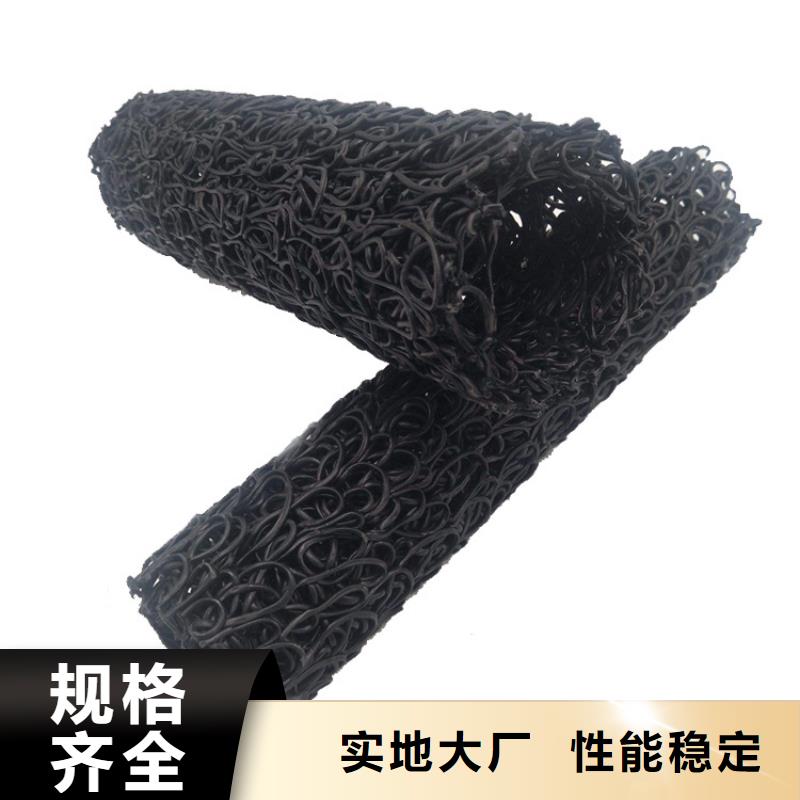 塑料盲沟-土工网垫厂家自营