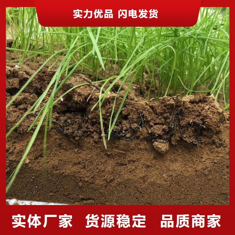 水土保护毯土工网垫用的放心