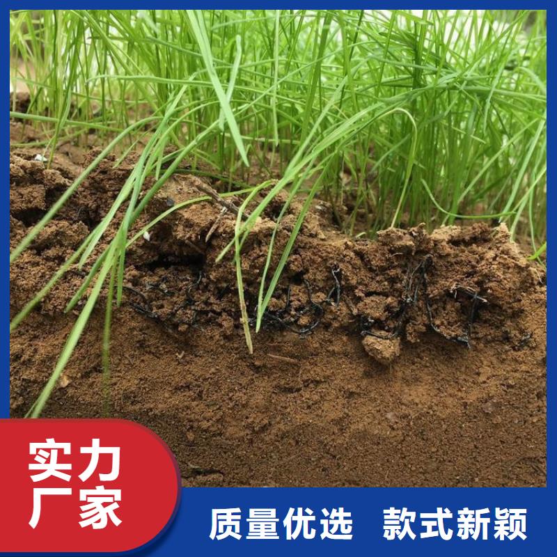 水土保护毯【双向土工格栅】免费安装