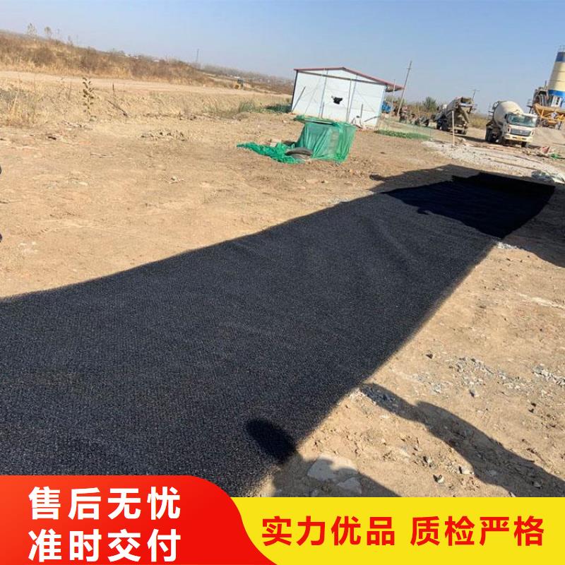 水土保护毯双向塑料土工格栅批发价格
