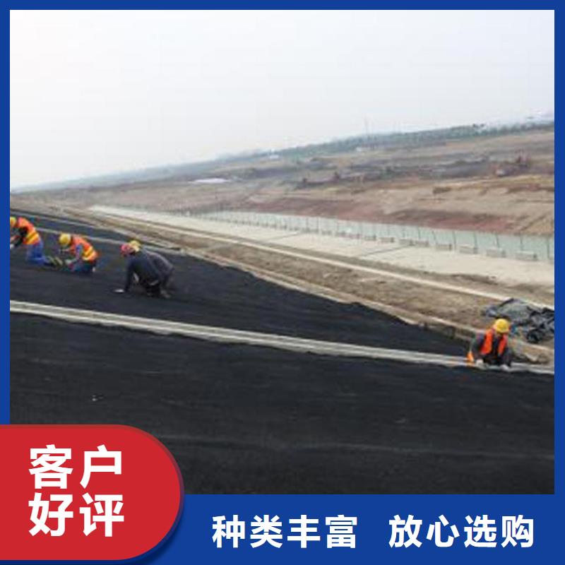 水土保护毯,【膨润土防水毯】低价货源 中齐建材(汉中市分公司)
