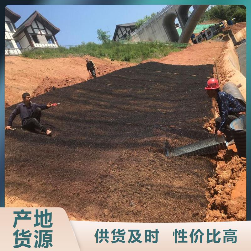 水土保护毯,【膨润土防水毯】低价货源 中齐建材(汉中市分公司)