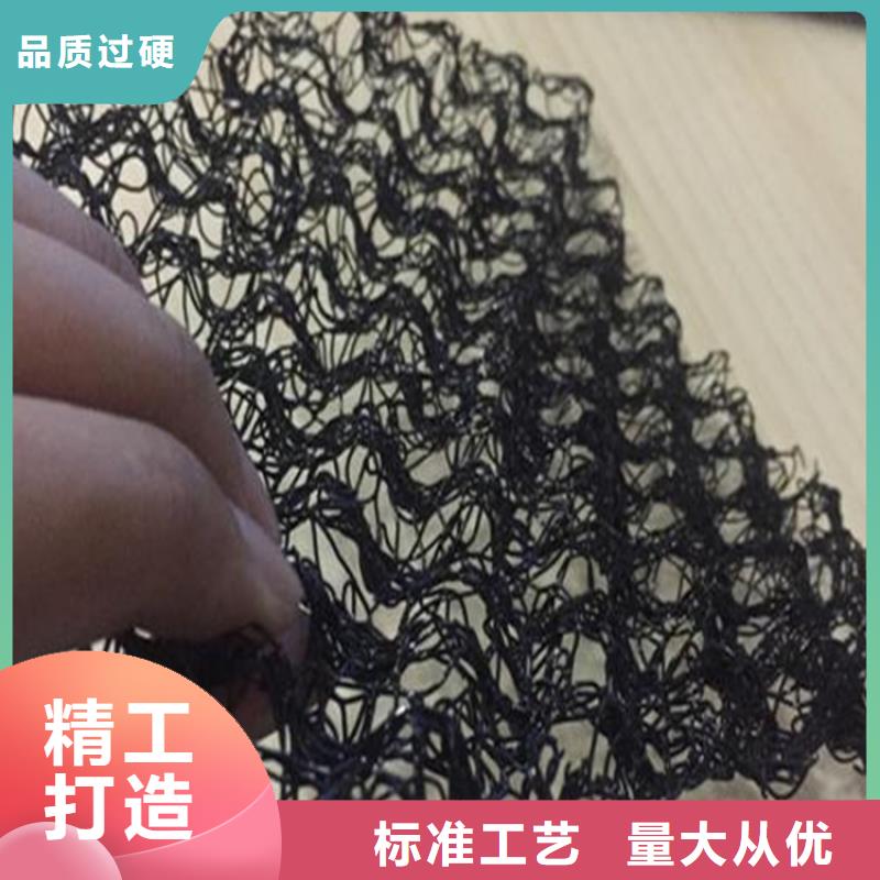 水土保护毯双向塑料土工格栅批发价格