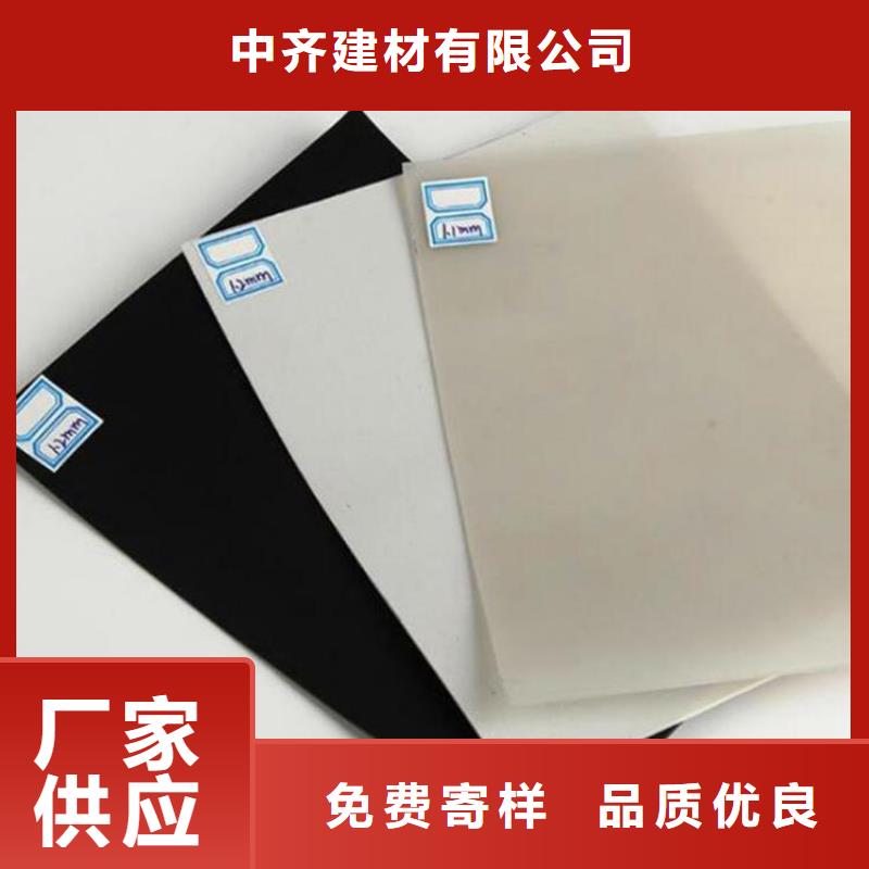 防水板-土工格栅诚信可靠