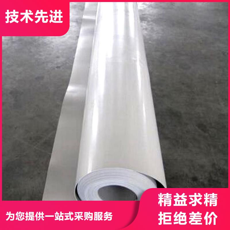 防水板土工格栅专业的生产厂家