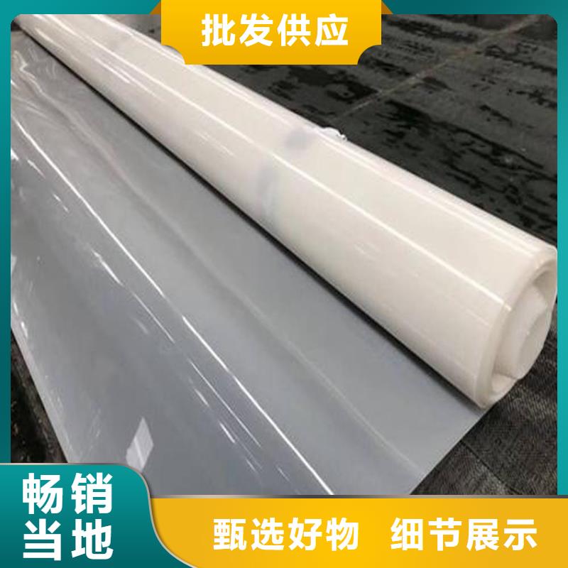 防水板土工格栅专业的生产厂家