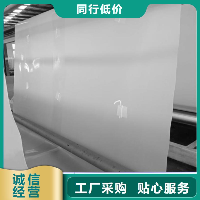 防水板-土工格栅诚信可靠
