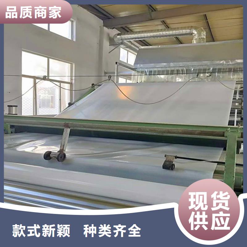 【防水板-土工膜源头厂商】