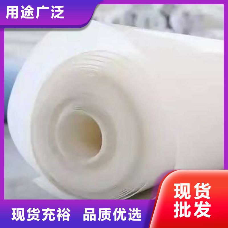 【防水板-土工膜源头厂商】
