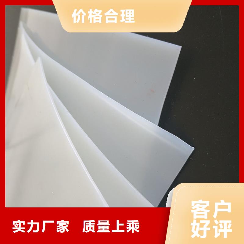 防水板土工格栅专业的生产厂家