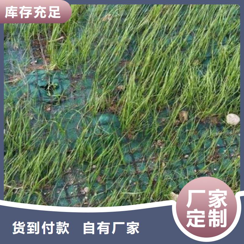 聚酯布-视频-聚酯布_辽宁省辽阳市市场覆盖灯塔|弓长岭|铁岭|盘锦|抚顺|朝阳|营口|丹东|阜新等