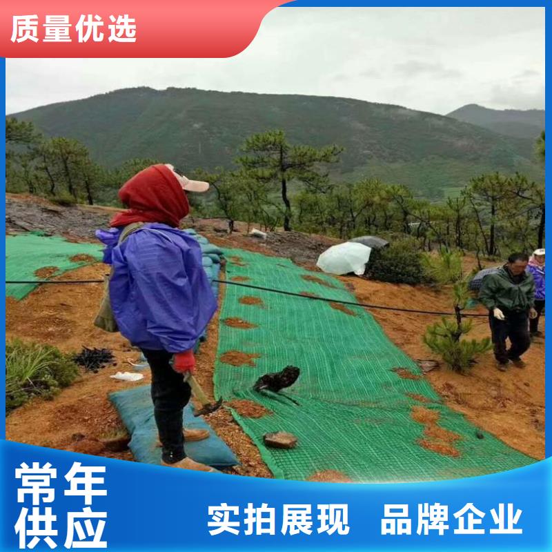 椰丝毯,土工布优良材质