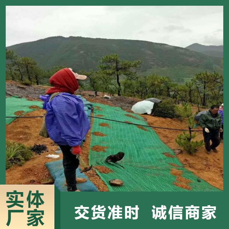 椰丝毯硬式透水管对质量负责