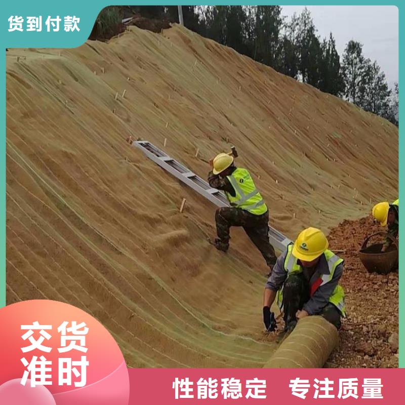 聚酯布视频-聚酯布-山东省济南市当地公司-章丘|槐荫|莱芜|东营|威海|临沂