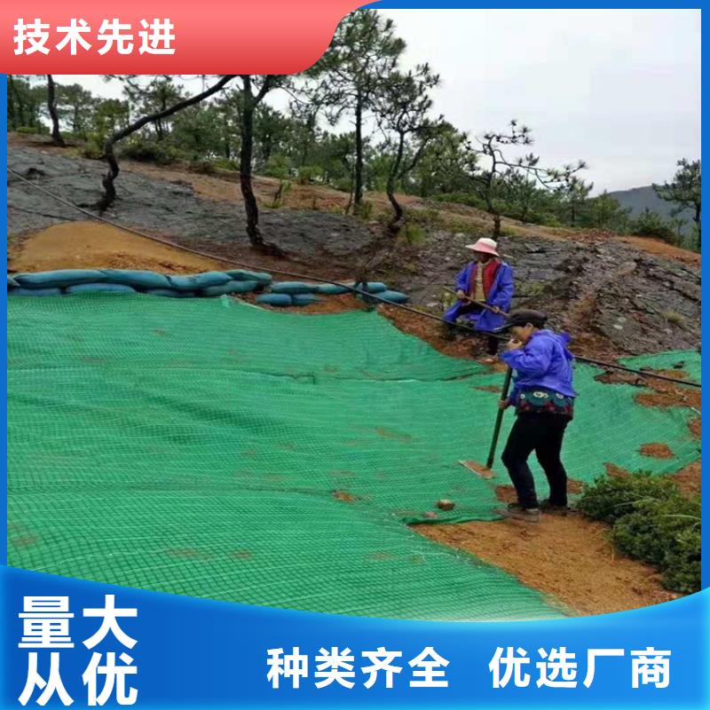 【椰丝毯】钢塑土工格栅精挑细选好货
