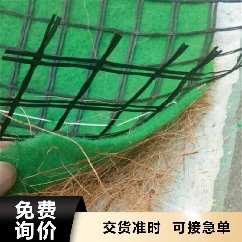 聚酯布视频-聚酯布-山东省济南市当地公司-章丘|槐荫|莱芜|东营|威海|临沂