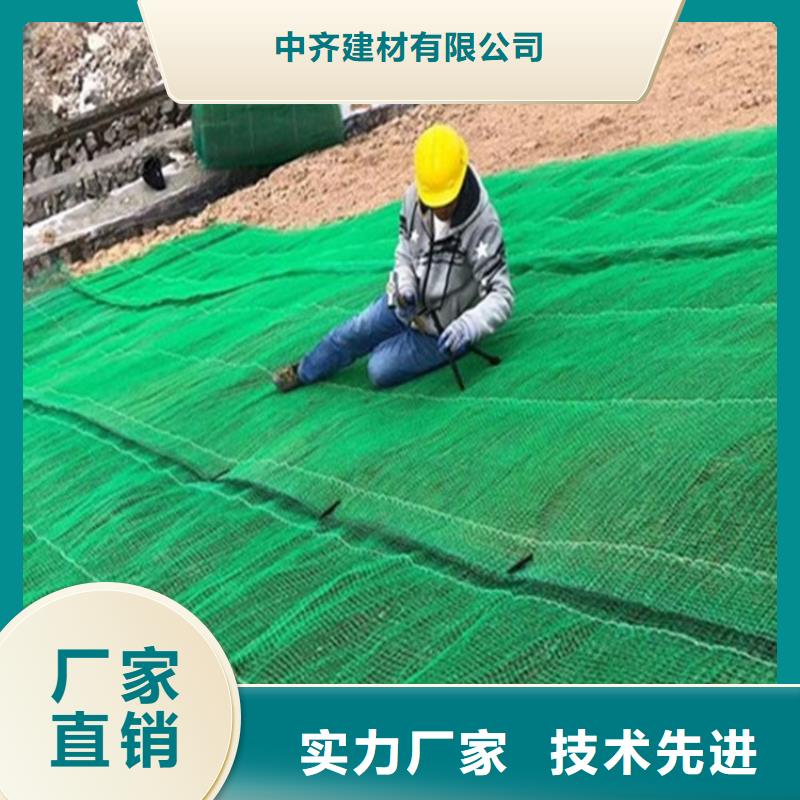 椰丝毯双向塑料土工格栅丰富的行业经验