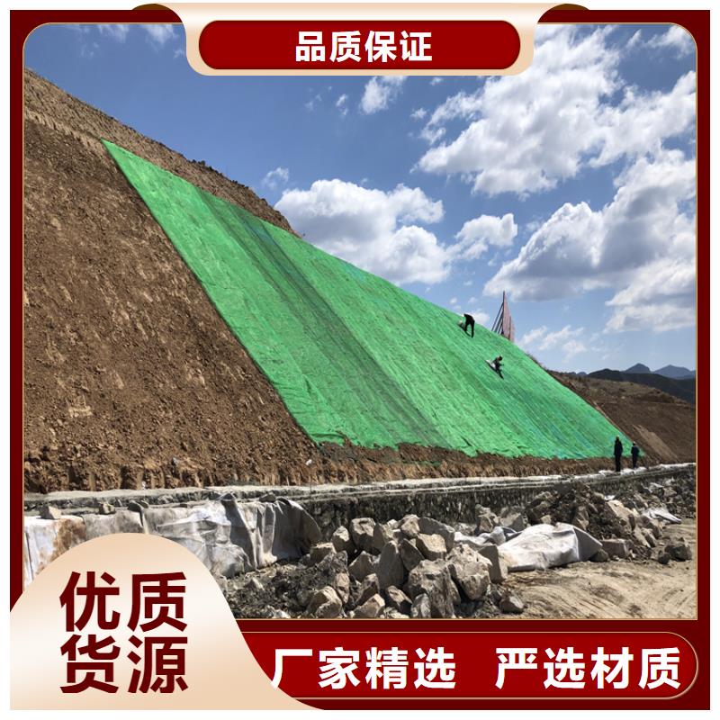 椰丝毯双向塑料土工格栅量大更优惠