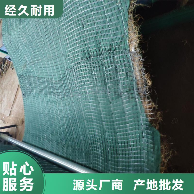 聚酯布视频-聚酯布-山东省济南市当地公司-章丘|槐荫|莱芜|东营|威海|临沂
