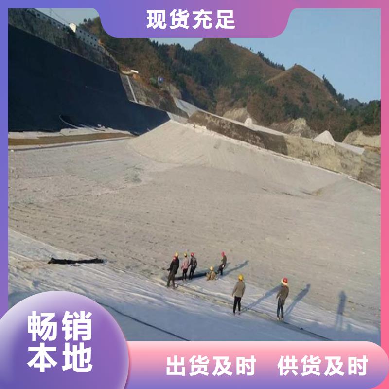 【膨润土防水毯双向土工格栅批发商】