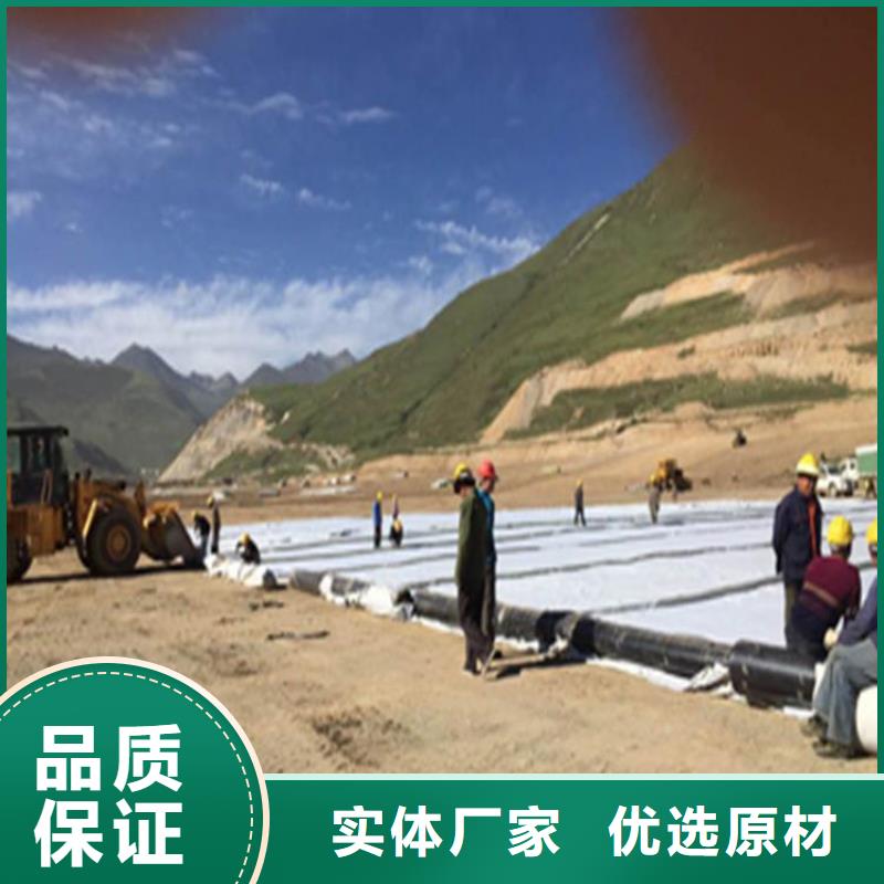 膨润土防水毯复合土工膜拒绝中间商