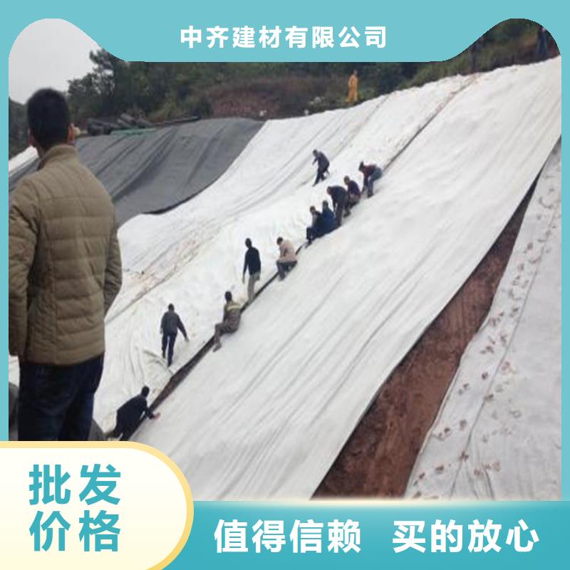 膨润土防水毯【单向塑料土工格栅】诚信为本