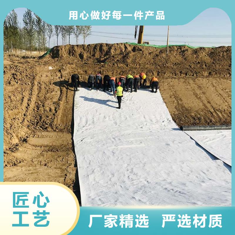 膨润土防水毯复合土工膜拒绝中间商