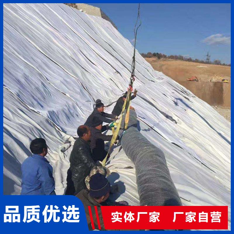 膨润土防水毯复合土工膜拒绝中间商