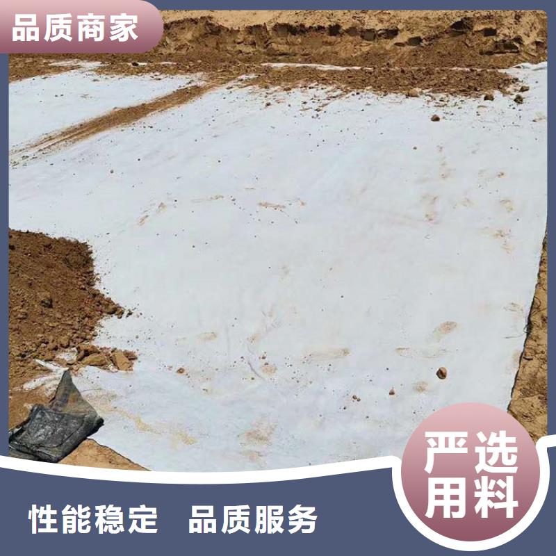 【膨润土防水毯】【单向塑料土工格栅】严谨工艺