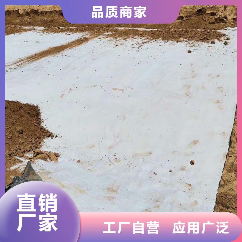 膨润土防水毯防裂贴品种全