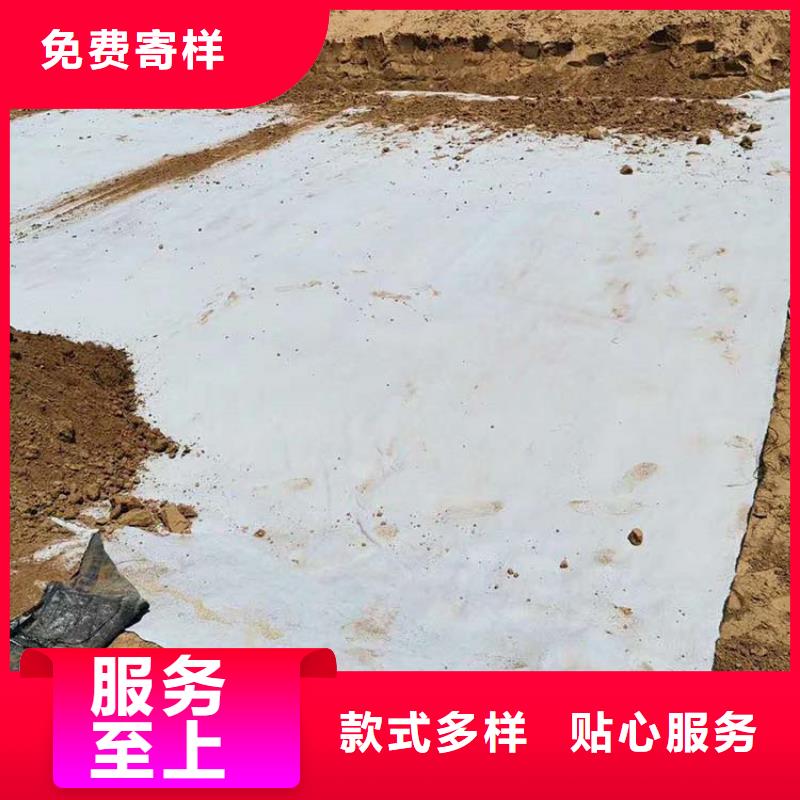 膨润土防水毯矿用阻燃网符合国家标准