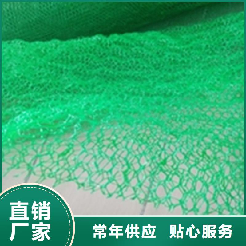 三维植被网土工格栅海量现货直销