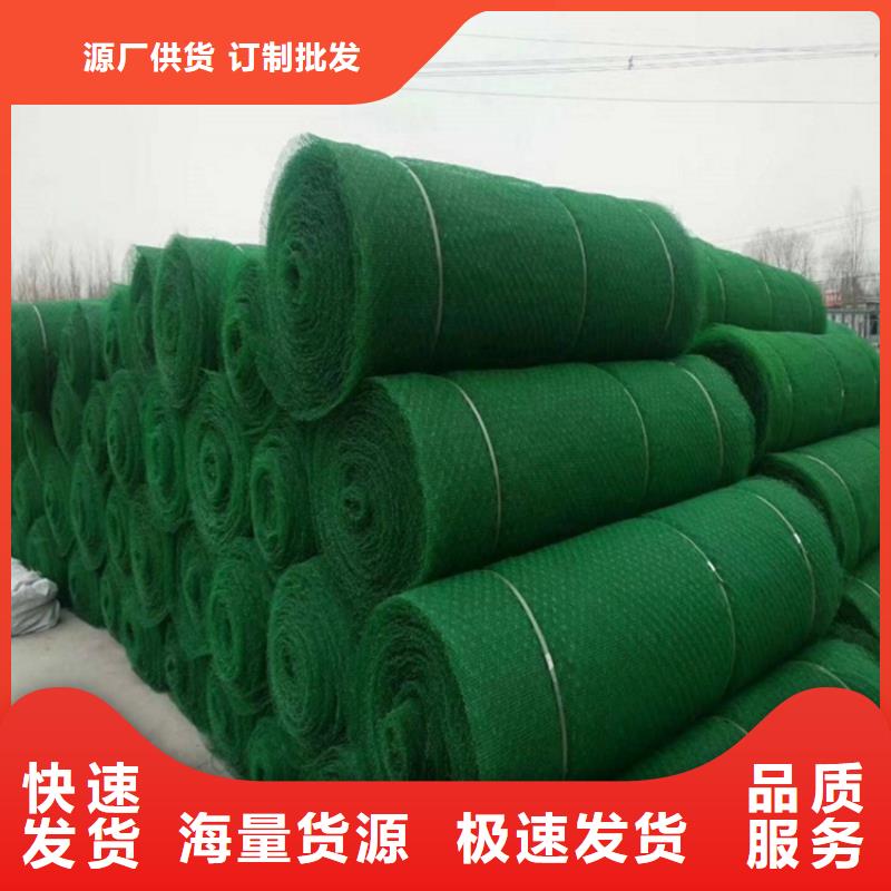 三维植被网,【防渗膜】现货供应