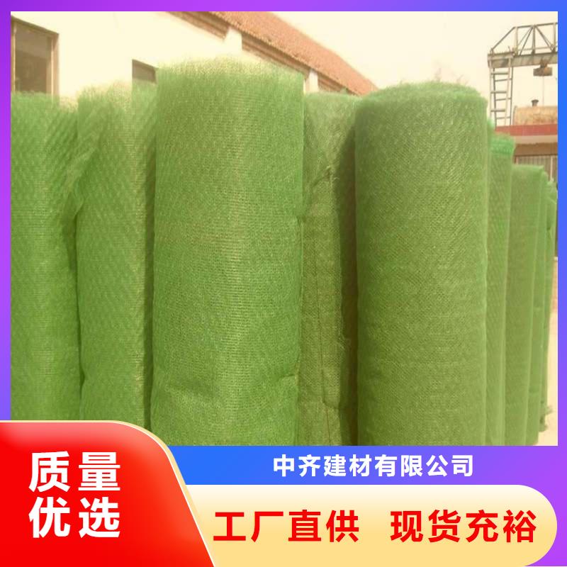 三维植被网,【防渗膜】现货供应