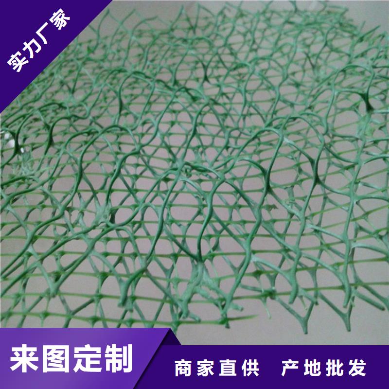 三维植被网螺旋管品质好才是硬道理